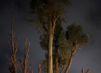 Anjali Patil Instagram - Kodaikanal. Everything that my eyes touched was love. Every sound was the voice of Allah. The magnificence was poured in all my senses! Kodi- You are for me love / God / Truth. Kodaikanal, tamil nadu