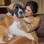 Anju Kurian Instagram - My heart melts whenever I hold these cute fluffy ones 🤍. #petlovers #favourites #doglover #catlover #mammosi #petstagram #mondaymood #instagram #lovewins #unconditionallove #mine #love Chennai