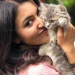 Anju Kurian Instagram – My heart melts whenever I hold these cute fluffy ones 🤍.

#petlovers #favourites #doglover #catlover #mammosi #petstagram #mondaymood #instagram #lovewins #unconditionallove #mine #love Chennai