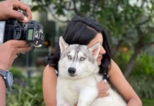 Anju Kurian Instagram - My heart melts whenever I hold these cute fluffy ones 🤍. #petlovers #favourites #doglover #catlover #mammosi #petstagram #mondaymood #instagram #lovewins #unconditionallove #mine #love Chennai