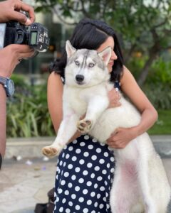 Anju Kurian Instagram - My heart melts whenever I hold these cute fluffy ones 🤍. #petlovers #favourites #doglover #catlover #mammosi #petstagram #mondaymood #instagram #lovewins #unconditionallove #mine #love Chennai