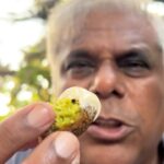 Ashish Vidyarthi Instagram - Scrumptious meal at @artjunagoa 😍😋 #goa #goadiaries #food #love #foodie #vlogger #wanderer #reelkarofeelkaro #travel #incredibleindia #friends #friendshipgoals #seafood #wedges #reelsinstagram #instareels #trending #viral #foodvlogger #actorslife #actorvlogs Artjuna