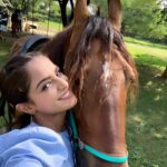 Asmita Sood Instagram - What goes around,comes around. Swipe right to know how! 😀 🐎 #loveforanimals #cutie #udaipur #traveldiaries #travelpresenter #travelxptvindia #travelxptv #stories #justme #princesstrailsudaipur