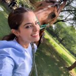 Asmita Sood Instagram - What goes around,comes around. Swipe right to know how! 😀 🐎 #loveforanimals #cutie #udaipur #traveldiaries #travelpresenter #travelxptvindia #travelxptv #stories #justme #princesstrailsudaipur
