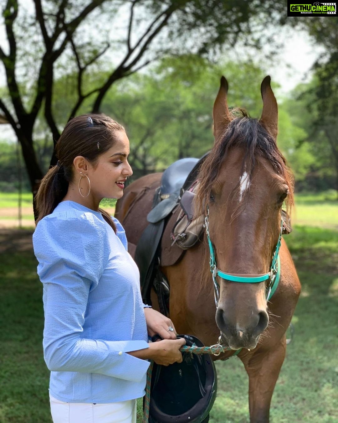 Asmita Sood Instagram - What goes around,comes around. Swipe right to know how! π π #loveforanimals #cutie #udaipur #traveldiaries #travelpresenter #travelxptvindia #travelxptv #stories #justme #princesstrailsudaipur