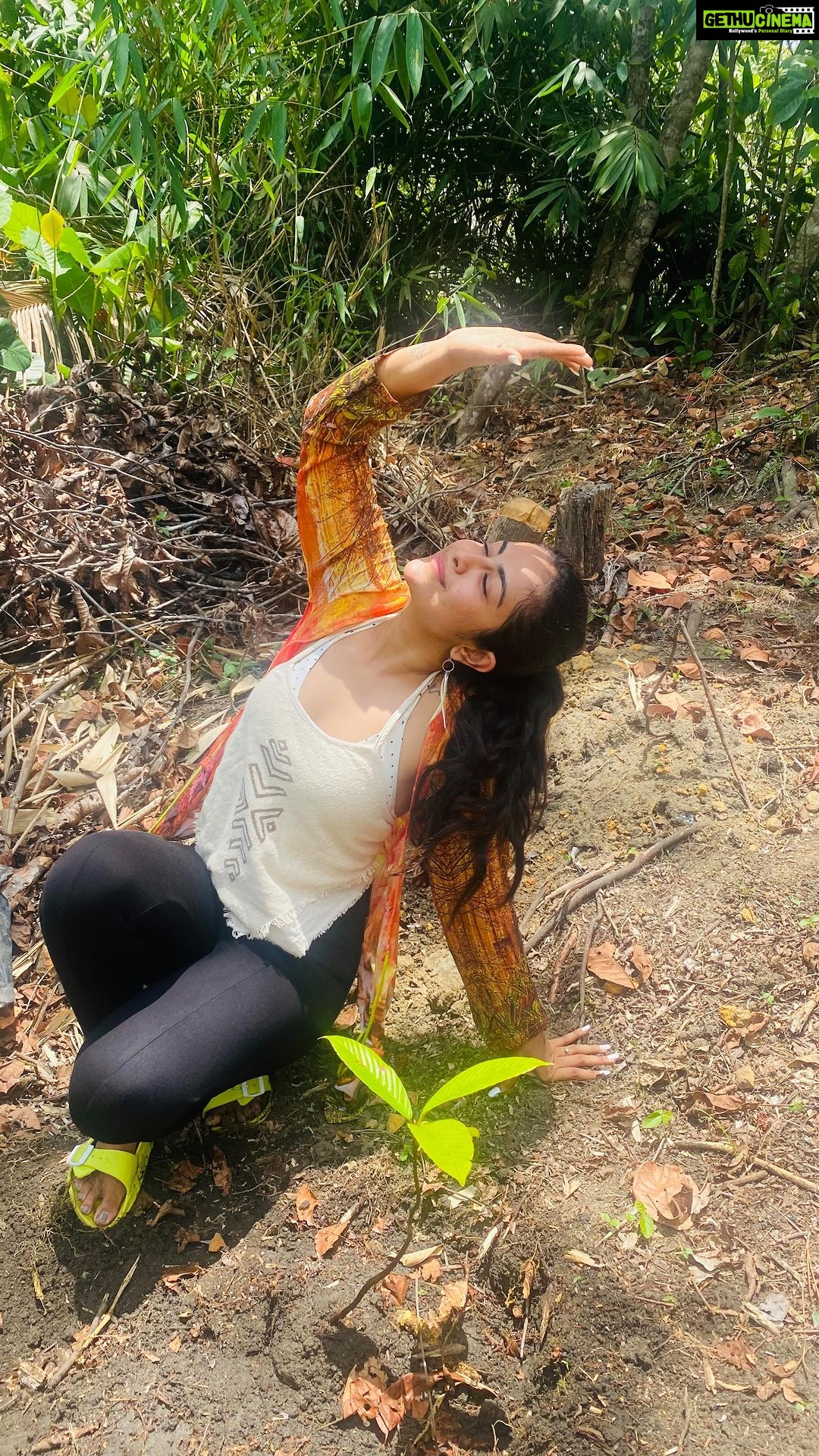 Avika Gor Instagram - Plant trees💚 Cinnamon Rainforest Restoration Project - Implemented by Ruk Rakaganno