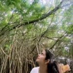 Avika Gor Instagram – Mangroves & the Beach here have my heart! Cinnamon Bentota Beach