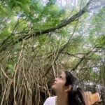 Avika Gor Instagram - Mangroves & the Beach here have my heart! Cinnamon Bentota Beach