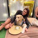Erica Fernandes Instagram - My baby boy turned 7 😱 @champ_theretriever Swipe to see how he enjoyed having his cake ( a cake specially made for dogs )