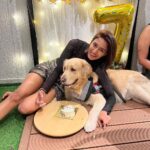 Erica Fernandes Instagram – My baby boy turned 7 😱 @champ_theretriever 
Swipe to see how he enjoyed having his cake ( a cake specially made for dogs )