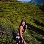 Eshanya Maheshwari Instagram - Only one who wanders finds new paths✨ #teagarden #kerala #travelblogger #munnar #travel #wanderlust #esshanya #esshanyamaheshwari Tea Gardens, Munnar