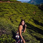 Eshanya Maheshwari Instagram – Only one who wanders finds new paths✨

#teagarden #kerala #travelblogger #munnar #travel #wanderlust #esshanya #esshanyamaheshwari Tea Gardens, Munnar