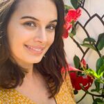Evelyn Sharma Instagram - Before & after! 👩🏻‍🌾🌺 here’s how much the tropical section in my garden has grown over one summer. Zone 9b / zone 3 #Australia. Many told me it’s impossible to establish a garden in one season, I’d like to proof them wrong. What’s my secret? Comment YES if you want me to tell you my secret in the next video! 🌻 More #beforeandafter #gardenmakeover videos coming your way! 🌞 #growwithevelyn #gardenofeve #evelynsharma #gardening #plantobsessed