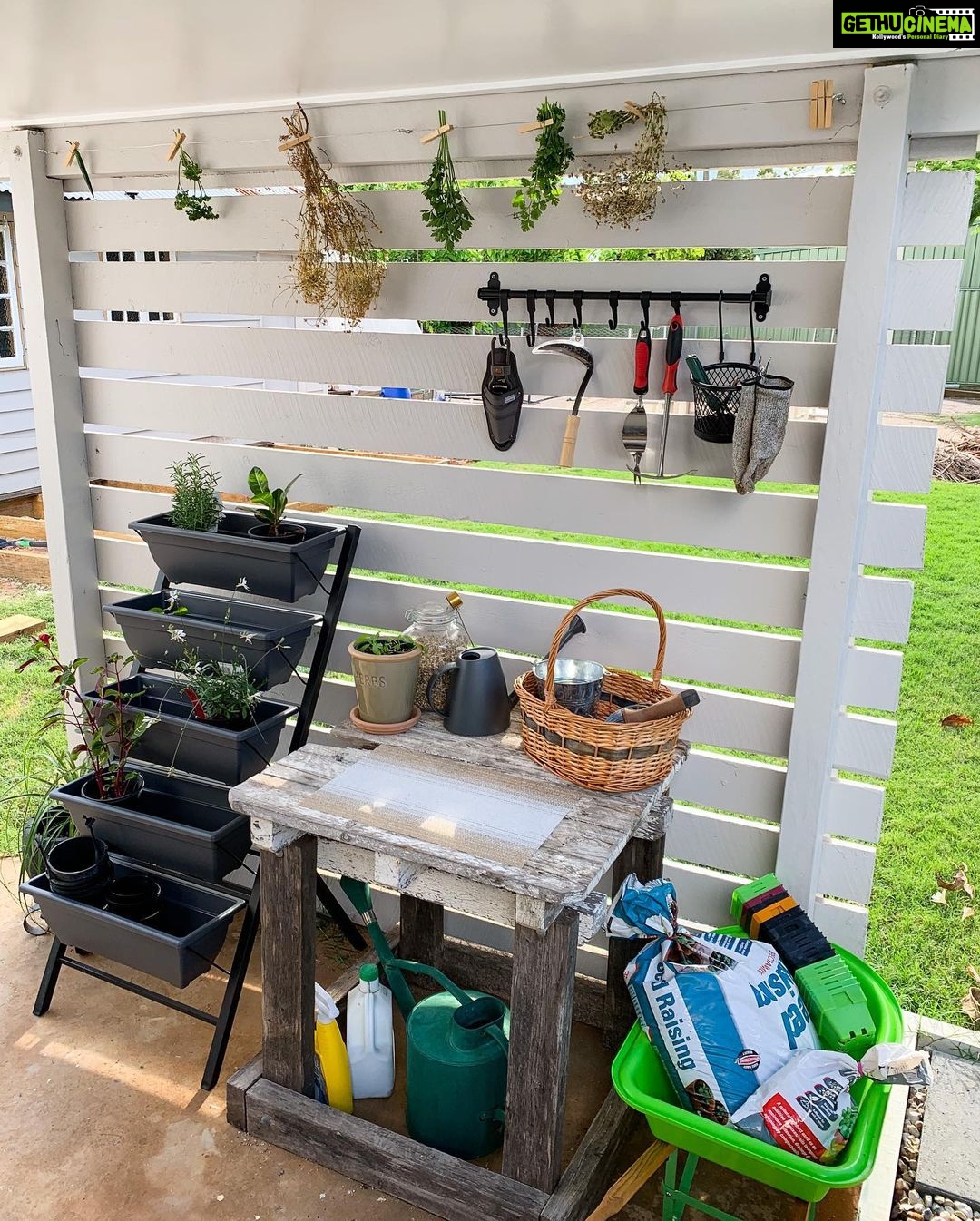Evelyn Sharma Instagram - LOVE my new little potting station!! π©π»βπΎπ€© make-over video coming soon! And a garden LIVE too! π― #staytuned #growwithevelyn #gardening