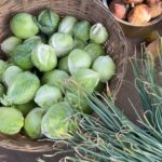 Isha Talwar Instagram – Food for thought🍀

Had the privilege to be at Rujuta Diwekar’s 5th generation farm. It was bought in 1820 and is lovingly called the “Diwekar waadi” ! 

You name it and they grow it – onions, cabbage, beetroot, tomatoes to name a few! If you’re looking to leave a legacy behind- this seems like the only way forward!

No amount of money is going to buy us Organic food and it’s nutrients :) 

So when you are thinking of a life 20years from now, forget the next generation, just you – 20 years from now, you might want to keep a lot of things in mind, sab “chalta hai “may not cut it :)

@rujuta.diwekar @rekhadiwekar ⭐️

#sonavecommunityfarmingproject #scfp #savesoil