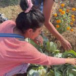 Isha Talwar Instagram – Food for thought🍀

Had the privilege to be at Rujuta Diwekar’s 5th generation farm. It was bought in 1820 and is lovingly called the “Diwekar waadi” ! 

You name it and they grow it – onions, cabbage, beetroot, tomatoes to name a few! If you’re looking to leave a legacy behind- this seems like the only way forward!

No amount of money is going to buy us Organic food and it’s nutrients :) 

So when you are thinking of a life 20years from now, forget the next generation, just you – 20 years from now, you might want to keep a lot of things in mind, sab “chalta hai “may not cut it :)

@rujuta.diwekar @rekhadiwekar ⭐️

#sonavecommunityfarmingproject #scfp #savesoil