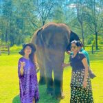 Janani Iyer Instagram - Thailand is Jolly O Gymkhana! Agree?! #jollyogymkhana #naamwon @krithika_ramanioffl Travel partner @pickyourtrail Hospitality partner @lark.holidays . . #UnwrapTheWorld #LetsPYT #Pickyourtrail #Thailand #waterfallsofinstagram #Amazingthailand #Explorethailand #travelthailand #adayinthailand #visitthailand #reels #reelsinstagram #vacation #birthday #reelitfeelit #trendingreels #instagood #explorepage #jollyogymkhana #beast Khao Lak, Thailand