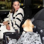 Karishma Kotak Instagram – Let’s go for a drive mummy!!!! #duke #puppylove