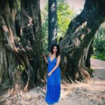 Mallika Sherawat Instagram – Ancient trees are precious 🌳☘️ 
.
.
.
.
.
.
.
.
 #positiveaffirmations #healthymind #innerstrength #trustyourjourney #healthymindset #positivemind #getoutside #naturegram #exploretocreate #bluedress #happyheart #happyplace #happythoughts #instamood #smilesallaround #alwayssmile #peace #peacefull #lifeisbeautiful #inspire #joy #wildnature #natgeo #planetearth #escape #jungle #tropical #wildplanet #sonya7iii #colorful