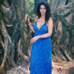 Mallika Sherawat Instagram – Ancient trees are precious 🌳☘️ 
.
.
.
.
.
.
.
.
 #positiveaffirmations #healthymind #innerstrength #trustyourjourney #healthymindset #positivemind #getoutside #naturegram #exploretocreate #bluedress #happyheart #happyplace #happythoughts #instamood #smilesallaround #alwayssmile #peace #peacefull #lifeisbeautiful #inspire #joy #wildnature #natgeo #planetearth #escape #jungle #tropical #wildplanet #sonya7iii #colorful