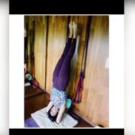 Mallika Sherawat Instagram - Beat the Monday blues by starting the day with yoga 🧘‍♀️ . . . . . . #yogalove #yogaasana #fitnessvideo #workoutday #fitnessgram #fitnessaddicts #fitnessinfluencer #fitnessforlife #lovefitness #fitnessjunkie #fitnessgirlmotivation #ilovefitness #loveforfitness #lovelifefitness #ilovehighfitness #fitnessblogger #fitnesslovers #fitgoals #fitnessinspiration #fitnessmotivation #fitnesslife #fitnessmode #fitnessguru #fitnesslove