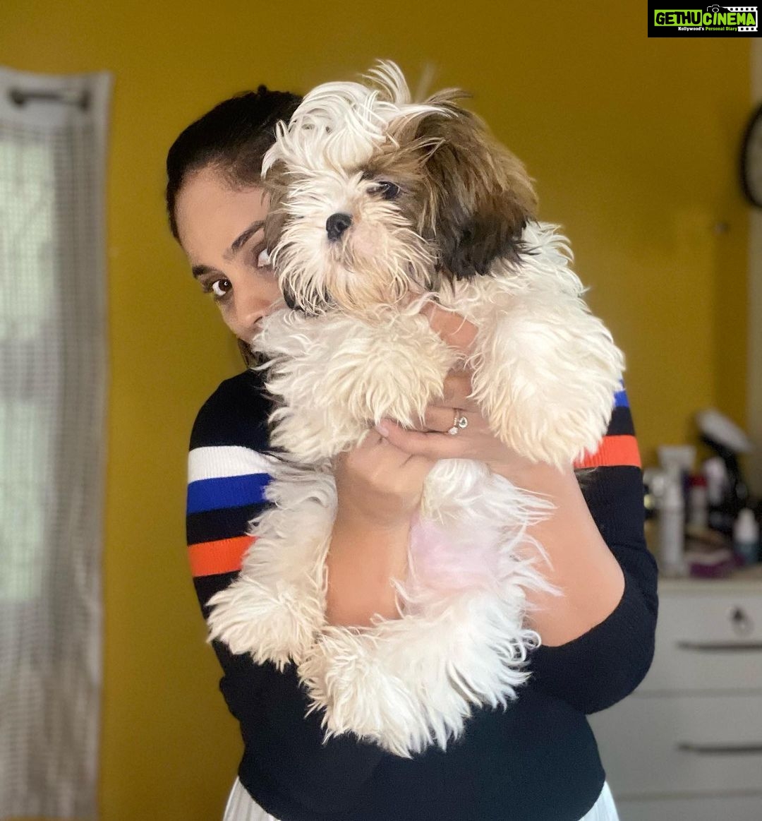 Nandita Swetha Instagram - It’s the difficult phase of my life. I am loosing my loved ones one by one.. copingup with the loss of #Bell , #myappa and now @withlovekushi Gone too soon.. left me devasted. I miss you, I miss your naughtiness.. you wil be missed kushi.. . Guys be carefull with your pets, pain is unbearable..