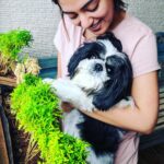 Nazriya Nazim Instagram – Happy happy Birthday to this lil heartbeat at my feet !!! 🤍♥️
Oreo…ur the best baby…u have melted my heart in so many ways …🥺taught me so much …
To the one that makes my heart smile ..😌
To the most loyal ,most obedient  and sweetest puppy …🐶
Happy born day to the light of our life !! 
Till the end and beyond Oreo !! I promise 😘😇