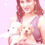 Nidhhi Agerwal Instagram - With the best company 🤍 #doglover