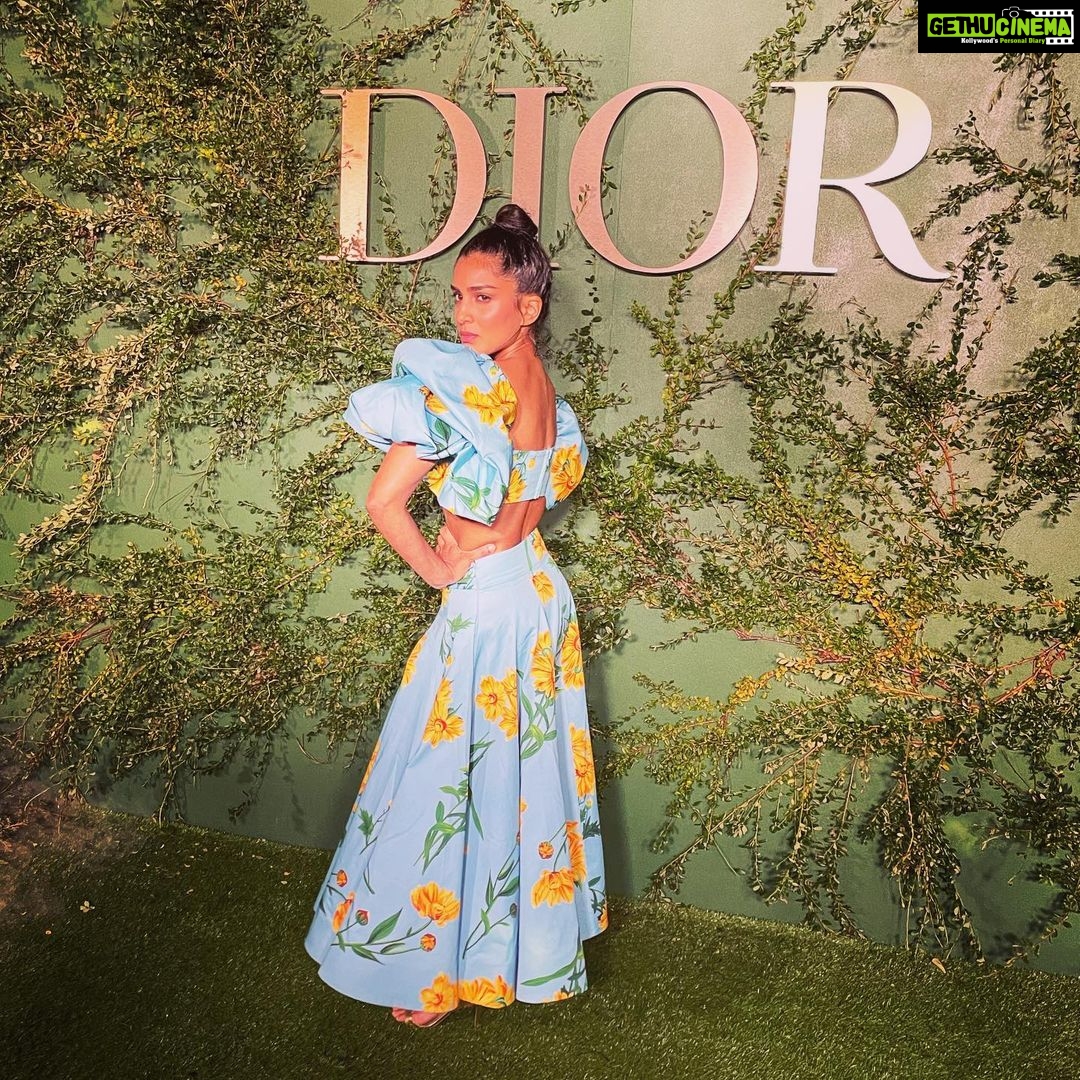 Pallavi Sharda Instagram - Merci bien @dior 💙