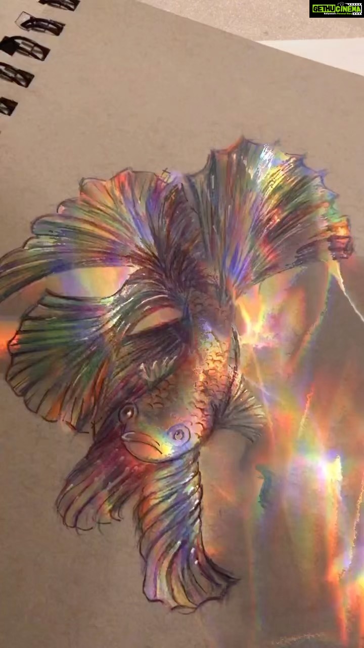 Panchi Bora Instagram - In loving memory of my two magical pets: fighter fish and turtle! Both were amazing. I used to show mirror to my lil fighter fish and she/he will double up in size displaying beautiful purple pink turquoise blue colors and grapes 🍇 were my turtle’s favorite snack! 🐠🐢
