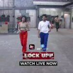 Payal Rohatgi Instagram - She is an honest & daring person. She does everything by heart with honesty. Please vote & support Payal ji to stay in lockupp show🙏 #teampayal #payalrohatgi #lockupp #shernipayal