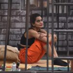 Payal Rohatgi Instagram - 100 open dogs can’t kill a lioness. She is ethical, daring & pure hearted. Please vote & support to stay in lockupp show🙏 #teampayal #payalrohatgi #lockupp #shernipayal