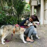 Pranitha Subhash Instagram – Tbt to playing with dogs back in Bombay ❤️