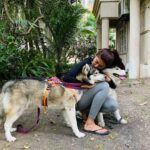 Pranitha Subhash Instagram - Tbt to playing with dogs back in Bombay ❤️