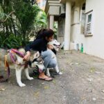 Pranitha Subhash Instagram – Tbt to playing with dogs back in Bombay ❤️