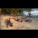 Regina Cassandra Instagram – Tried knuckle push-ups for the first time and impressed myself off just like that. 🥲 😆 Pigeon Island National Park