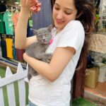 Richa Panai Instagram - She loves to pose like mumma!👻🐈‍⬛ Grazie’s first bath!!! Isn’t she looking more beautiful now?😍🤪🧿 #obsessedmom #touchwood #mybabies #missedthemsomuch #exoticshorthair #britishshorthair #greycat #cutecats #kittensofinstagram Mumbai, Maharashtra