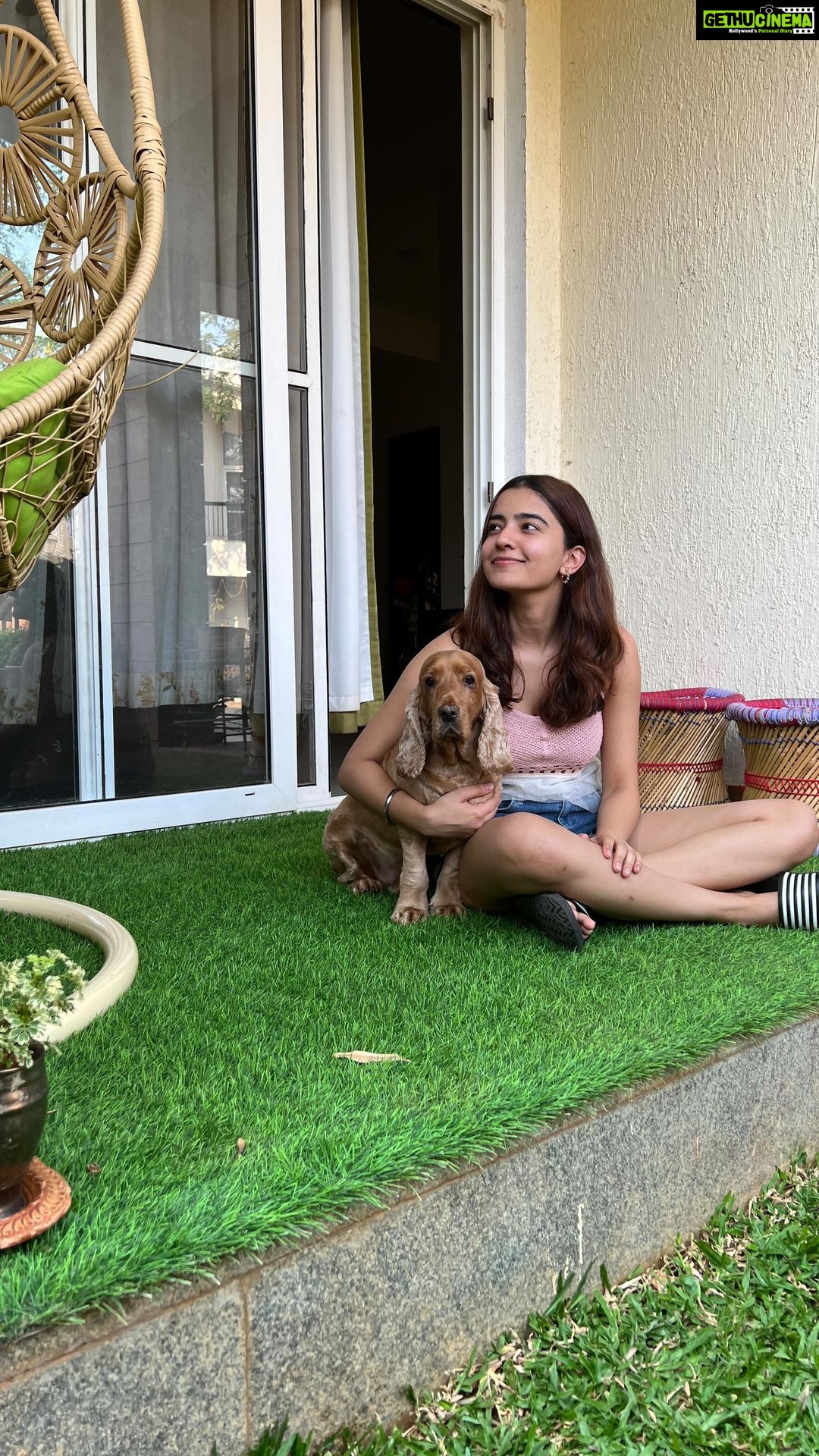 Rukshar Dhillon Instagram - Ro toh aise raha jaisa isko khaana hee nahin milta🙄 Our Deewana #dosalover ❤️