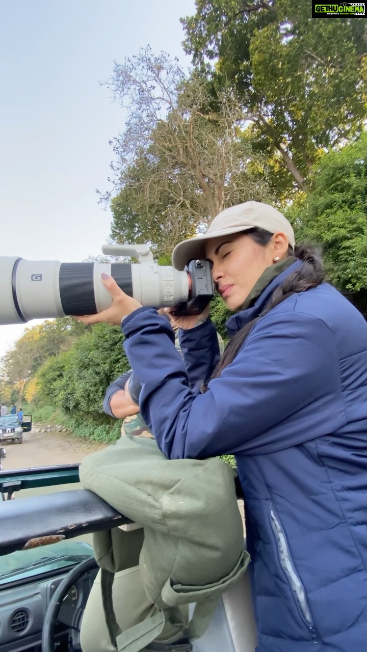 Sadha Instagram - A never ending love story with 🐅 ….. #corbett #jimcorbett #paar #jimcorbettnationalpark #uttarakhand #wildlife #tiger #wildlifephotography #traveller #loverfortravel #wildernessculture #sadaasgreenlife #jungleetraveller #tigerreserve #corbettnationalpark #blessed #gratitude #mylife #bigcats #tigersofindia #sonyalpha #sonya7riv @natgeotravellerindia @natgeoindia @natgeowild @bbcearth @sonybbcearth