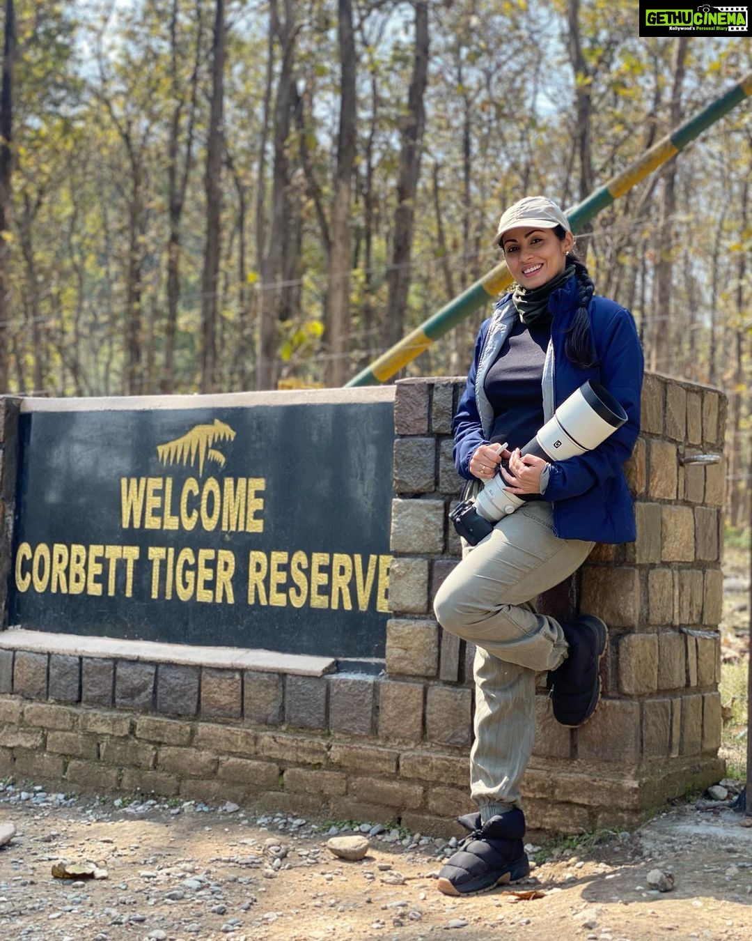Sadha Instagram - All smiles after 11 sightings of 8 different tigers.. What a fun filled trip this turned out to be.. The hangover of this will stay until I come back.. Hopefully veryyyy soon…. Can’t wait…. 😀🙈 @junglee_traveller Thank you so much for this!!! 💚 #corbett #jimcorbett #jimcorbettnationalpark #uttarakhand #wildlife #tiger #wildlifephotography #traveller #loverfortravel #jungleetraveller #selfportrait #tigerreserve #corbettnationalpark #blessed #gratitude #mylife #sadaasgreenlife #bigcats #tigersofindia #sonyalpha #sonya7riv Jim Corbett National Park Dhangarhi Entry Gate