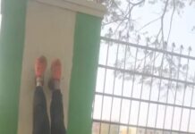 Sai Dhanshika Instagram - Behind the scenes of my training’s Introducing coach @chinchuvicky Master @powerpandianaasansilambam & some clips of my training’s 💪🏼💪🏼💪🏼