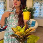 Sanjjanaa Instagram - I have taken over my pregnancy third trimester , in indulging in non-commercial activities that I never had time for all my life 🤩🤩 Gardening , Cooking and making blogs is my favourite passion these days , 🤩🤩 & im totally enjoying my self indulging in these Activities that I never had time for all my life as my life has been a hustle of travelling and shooting in various cities , Beautiful plants from @ugaoo thank you dear @seemathelimitless 😍😍 Wearing @zelenaformommies . Jewellry from @chamundeshwaricollections