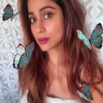 Shamita Shetty Instagram - Butterflies … lil winged happy friends 🦋😍 . . . . . #postoftheday #butterflies #selfie #moodygrams #colors #happiness