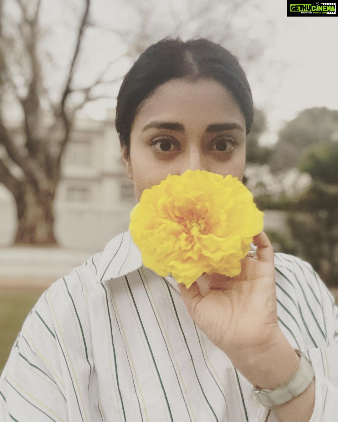 Shriya Saran Instagram - Thank you for yesterday, let’s always believe in magic . Have a beautiful day filled with memories you will always be grateful for . #hyderabad @deepti_rinks