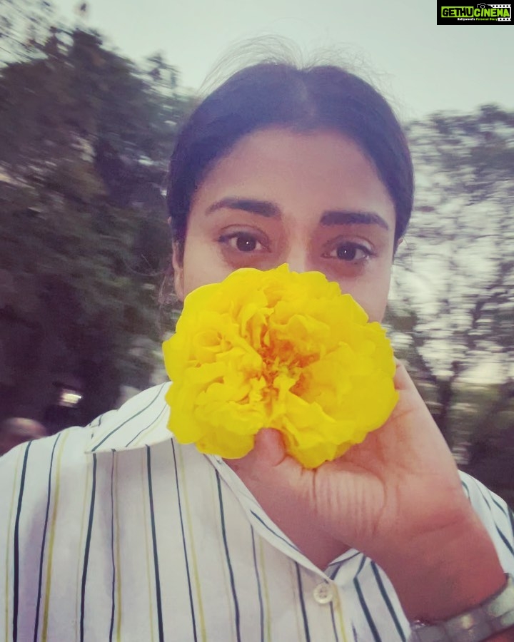 Shriya Saran Instagram - Thank you for yesterday, let’s always believe in magic . Have a beautiful day filled with memories you will always be grateful for . #hyderabad @deepti_rinks