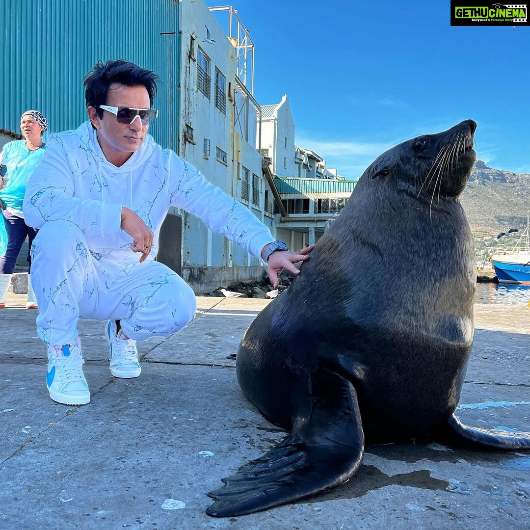 Sonu Sood Instagram - 🦭You have gained too much of weight my friend, let’s go for a Run 🏃♀️