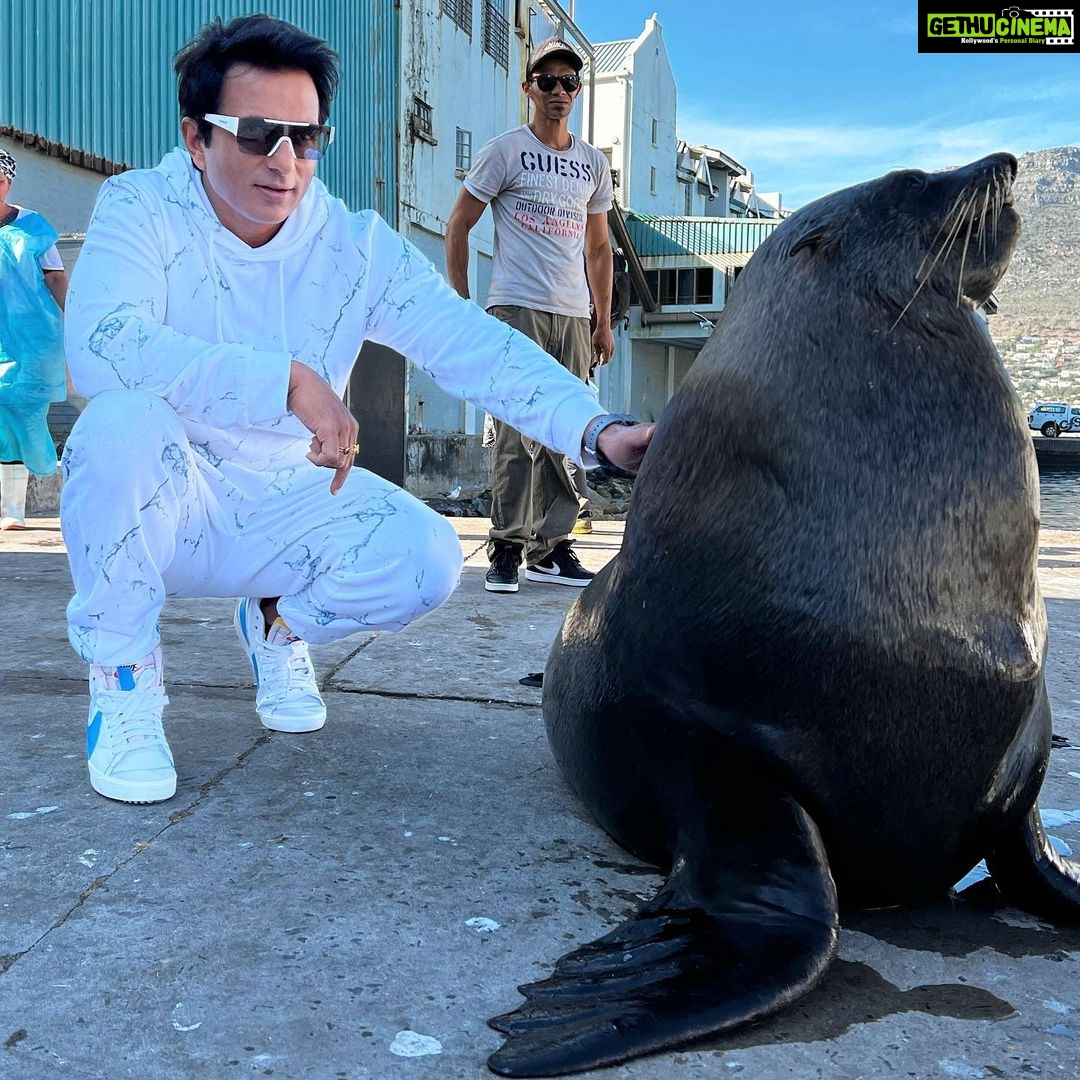 Sonu Sood Instagram - 🦭You have gained too much of weight my friend, let’s go for a Run 🏃♀️