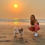 Sophie Choudry Instagram - Sunsets for the soul (and to soothe random injuries)🧡 #sunset #sunsetlovers #happygirlsaretheprettiest #beachlover #beachvibes #tgif #friyay #nofilterneeded #dogmom #shihtzu #shihtzulovers #sophiechoudry #magiclight #mumbai