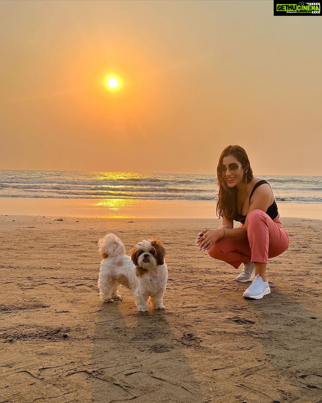Sophie Choudry Instagram - Sunsets for the soul (and to soothe random injuries)🧡 #sunset #sunsetlovers #happygirlsaretheprettiest #beachlover #beachvibes #tgif #friyay #nofilterneeded #dogmom #shihtzu #shihtzulovers #sophiechoudry #magiclight #mumbai