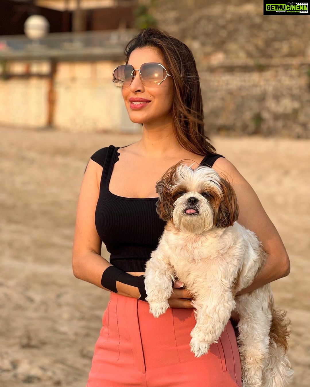 Sophie Choudry Instagram - Sunsets for the soul (and to soothe random injuries)🧡 #sunset #sunsetlovers #happygirlsaretheprettiest #beachlover #beachvibes #tgif #friyay #nofilterneeded #dogmom #shihtzu #shihtzulovers #sophiechoudry #magiclight #mumbai